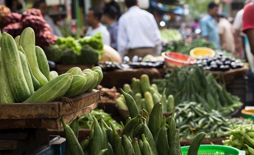 為什么多功能食品安全檢測(cè)如此受歡迎